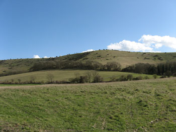 The Downs in the sunshine – Jim's photo