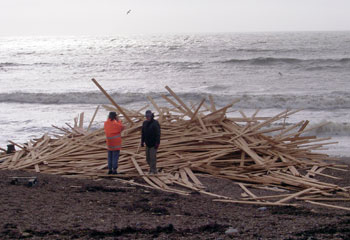 Jim and Mick check out the timber 