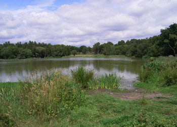 Piltdown pond