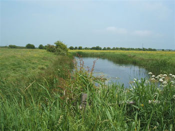 Walter's Haven from Horse Bridge