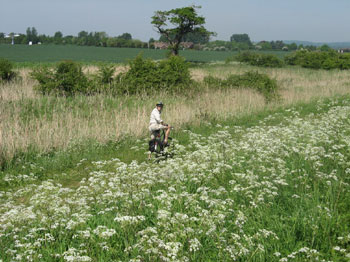 Roger takes the low road - Jim's photo 