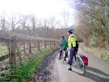 Joyce and Ian take in the view