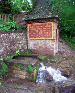 Plenty of water in the stream