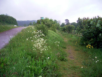 Looking back at the Equestrian Route (on right)