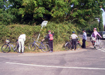 Blackberry stop at Bob Lane 