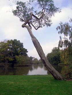 View of the lake