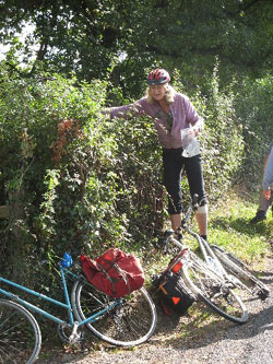 Tessa foraging for blackberries 