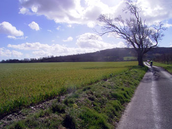 A hedgeless field