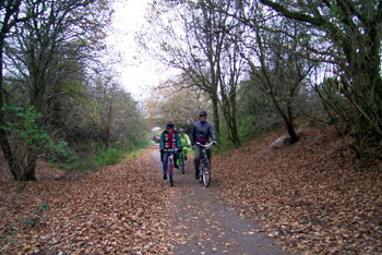 North along the Cuckoo Trail 