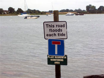 High tide 