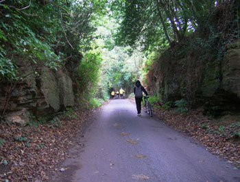 Walking up through the sandstone gorge 