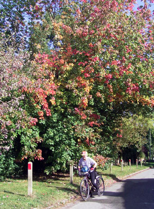 Autumnal colours at Blackstone 