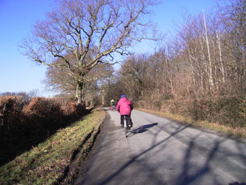 '...the shadows of trees dappling the road...'