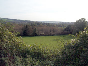 The Downs through Old Man's Beard