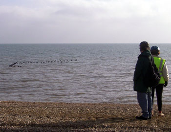 A formation of geese practice low-level flying for Jim and Joyce 