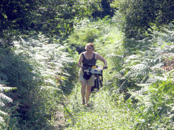 Joyce emerging from the undergrowth