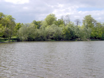 Slaugham Ponds