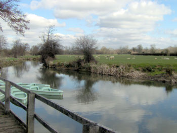 By the river