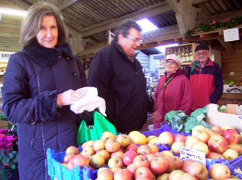 Organic shopping at Falmer farm shop 